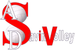 Logo della SavInVolley