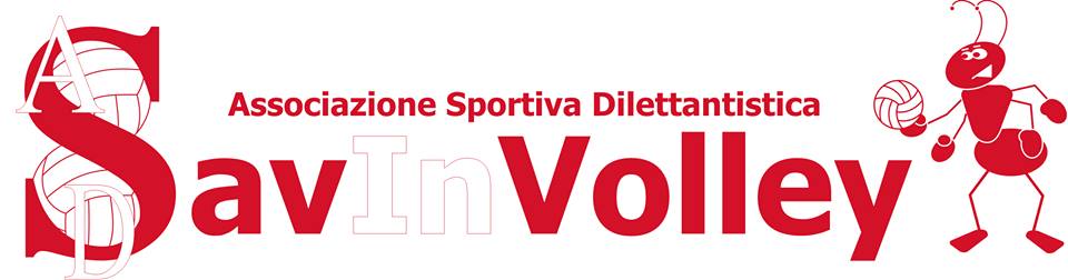 Logo della SavInVolley